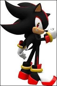 Comment se nomme ce puissant hérisson noir qui se fait passer pour Sonic ?