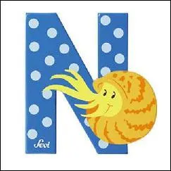 N - Je suis le cousin de l'autruche, ma longévité est d'environ 15 ans. Qui suis-je ?