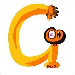 G - King Kong fait partie de mon espèce. Qui suis-je ?