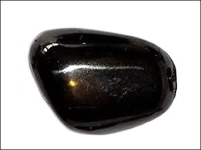 Quelle est cette gemme fossile de couleur noire ?