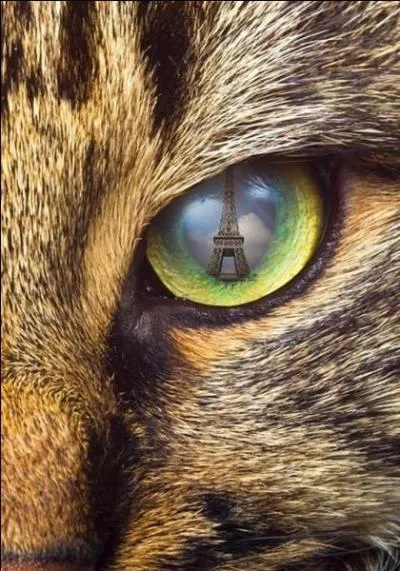 Indice : "Fluctuat nec mergitur". Quelle est la bonne réponse ?