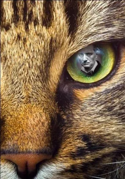 Indice : "Vastes oiseaux des mers". Quelle est la réponse ?