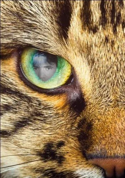 Indice : "Je ne suis pas un héros". Quelle est la réponse ?