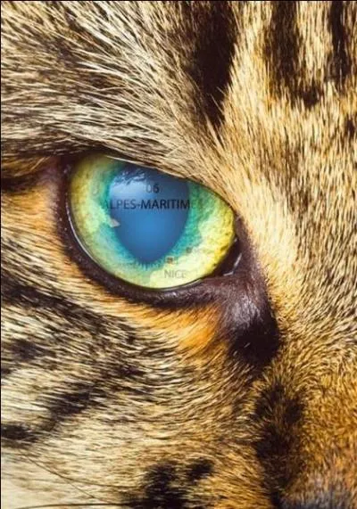 Indice : ma sous-préfecture est Grasse. Quelle est la réponse ?