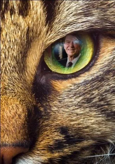 Indice : 40e président des États-Unis. Quelle est la réponse ?