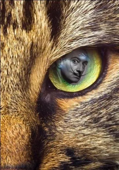 Indice : "Je suis fou du chocolat Lanvin ! " Quelle est la bonne réponse ?