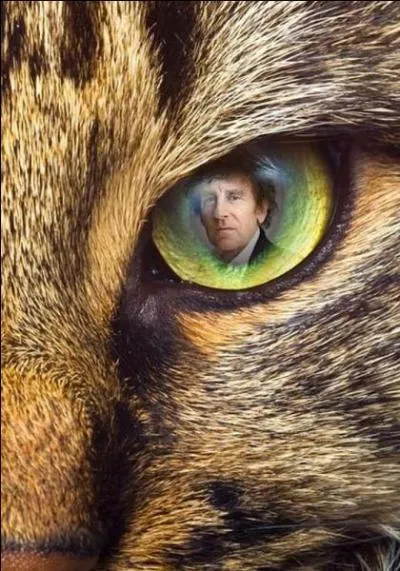 Indice : "Allô maman bobo". Quelle est la bonne réponse ?