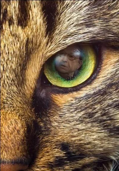 Indice : "Les Shadoks". Quelle est la bonne réponse ?