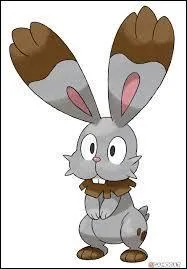 Quel est ce Pokémon ?