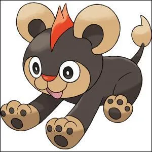 Quel est le nom de ce Pokémon ?