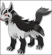 Quel est le nom de ce Pokémon ?