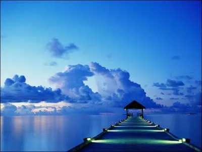 En 1982 que déclarait-il déjà ?