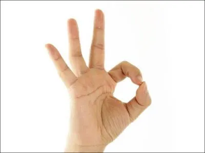 Quelle chanson le fit connaitre auprès du grand public ?