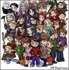 De quel pays le Sautebuisson vient-il ?