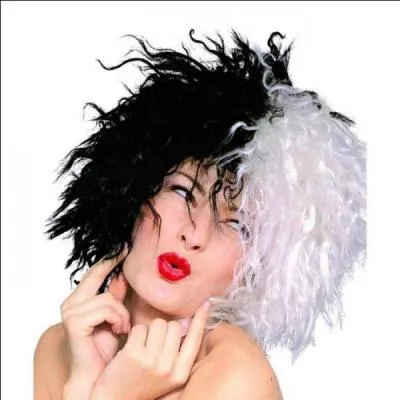 Trouvez le personnage par la perruque !