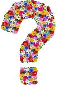 Que collectionne un orchidophile ?