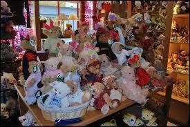 Lisa collectionne les ours en peluche. C'est une ...