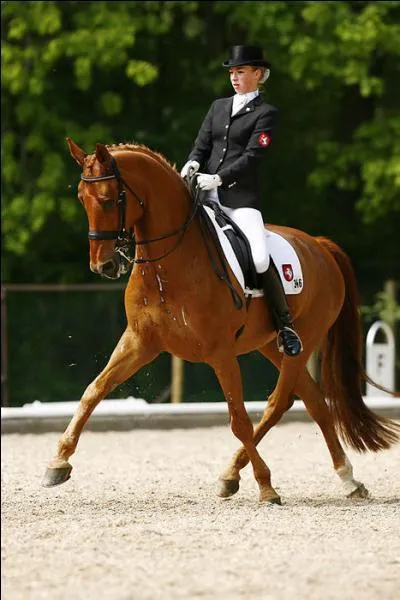 Quelles sont les aides pour un déplacement latéral vert la gauche ?
