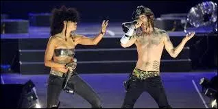 Le groupe Shaka Ponk aime faire apparaître des animaux qui sont devenus emblématiques du groupe. Ce sont des pongidés donc des...