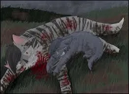 Comment est morte la mère d'Étoile Bleue ?