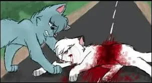 Comment est morte la sœur d'Étoile Bleue ?