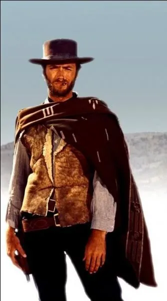 Et enfin, nous y sommes ! Le plus grand rôle de Clint Eastwood ! Le cigare entre les dents, le pistolet bien chargé et ce regard qui tue ! Je parle bien sûr de...
