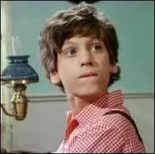 Dans quelle série voit-on Willie Oleson ?