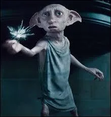 Quelle est la fonction de Dobby ?