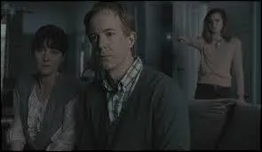 Quel est le métier des parents d'Hermione ?
