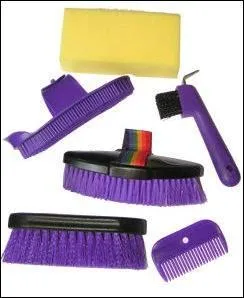 Trouver l'intrus dans cette liste de matériel d'équitation.