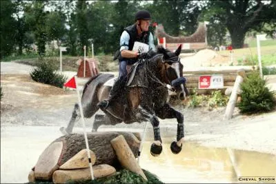 Quelle discipline équestre est comparée au triathlon ?