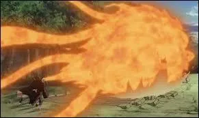 Quelle nature de chakra utilise-t-il le plus ?