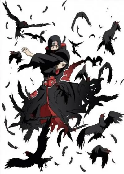 Dans quel justu Itachi est-il un spécialiste ?