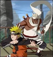 Qui furent-ils chargés d'attaquer ?