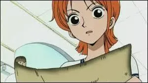 Par quelle prime Nami est-il intéressé ?