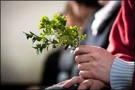Comment est appelé le dimanche qui précède le dimanche de Pâques ?