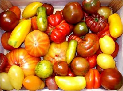 "Tomate" est une nuance de...