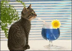 Le nom "paille" est associé à la couleur...