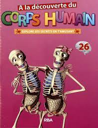 Quiz Corps humain