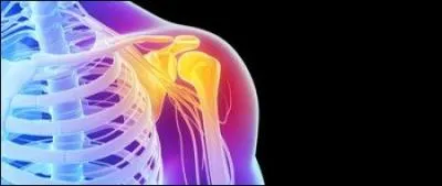 La "capsulite" est une inflammation de la synoviale qui provoque une fibrose de la capsule articulaire de l'épaule. Quels sportifs sont plus particulièrement touchés ?