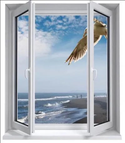 A quoi suis-je utile ?