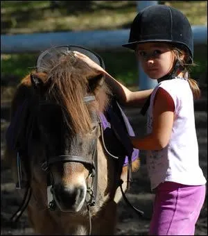 Avant de se mettre en selle, on :