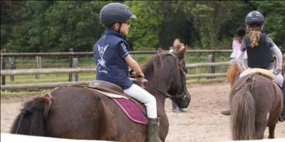 Comment faire pour arrêter son poney ou cheval ?