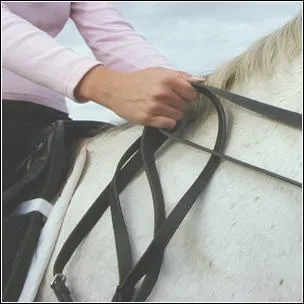 Comment tenir ses rênes ?