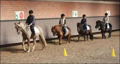 Quand est-on "piste à main gauche" ?