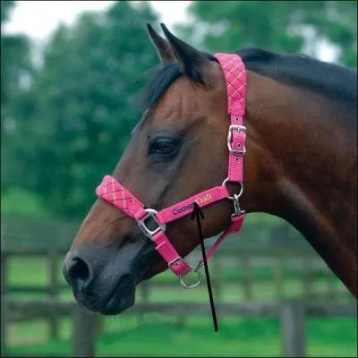 Quel nom porte cette partie du licol ? (voir photo)