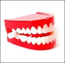 D'après l'expression, qui sont les "Sans-dents" ?