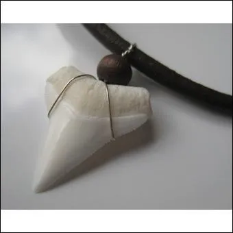 À quel animal appartient cette dent montée en pendentif sur ce collier ?