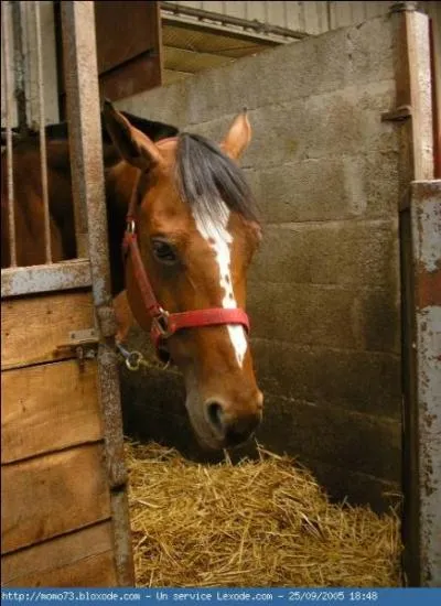 Quel nom porte cette marque et/ou liste ?