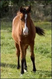 Quel nom porte cette marque et/ou liste ? (deux réponses à cocher)